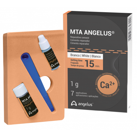 MTA Angelus