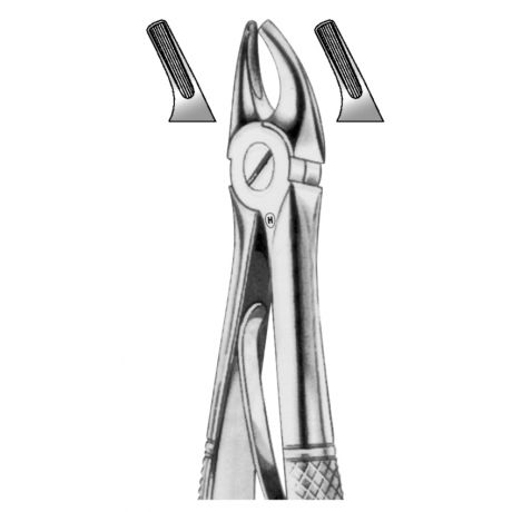 Extraction forceps for children - upper premolars 