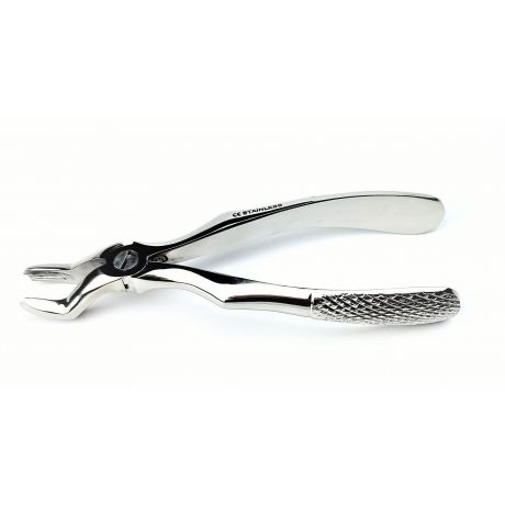 Molar Forceps with prongs 