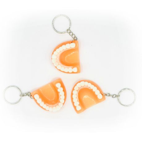 Key chain denture (12 pcs)